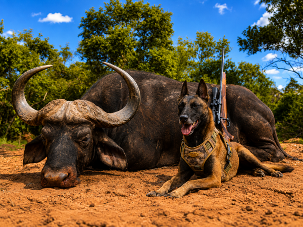African safari hunting memory